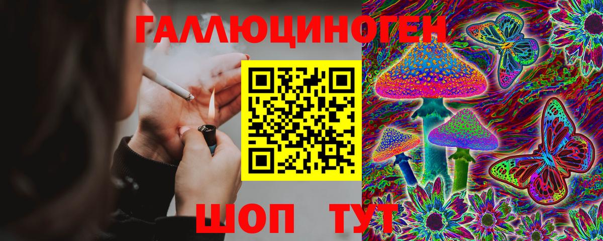 Галлюциногенные грибы Psilocybe Димитровград