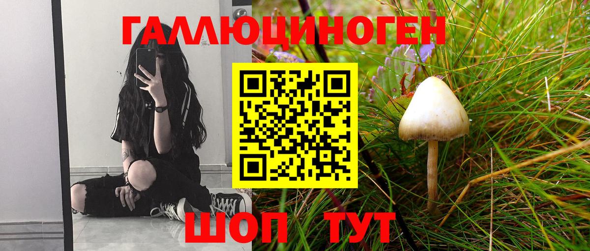 Галлюциногенные грибы мухоморы  Псилоцибиновые грибы мухоморы  Димитровград  Вход с VPN 